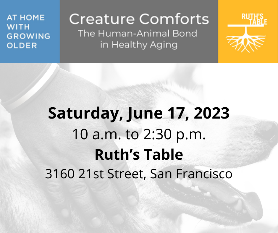 Creature Comforts: The Human-Animal Bond in Healthy Aging