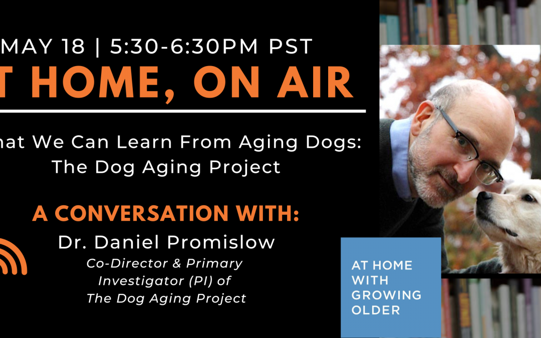 At Home, On Air: A Conversation with Dr. Daniel Promislow